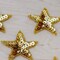 5 Small 2" Gold Star Sequin Beaded Iron On Patches for DIY Clothes Headbands Gift Wrapping